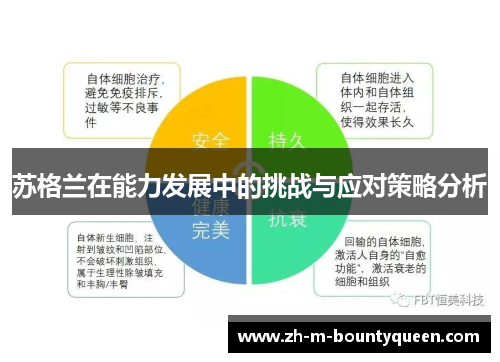 苏格兰在能力发展中的挑战与应对策略分析