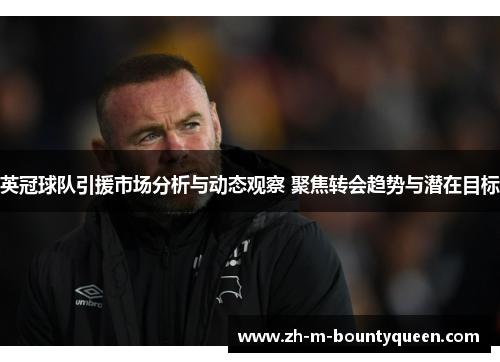 英冠球队引援市场分析与动态观察 聚焦转会趋势与潜在目标
