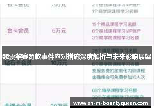 魏震禁赛罚款事件应对措施深度解析与未来影响展望